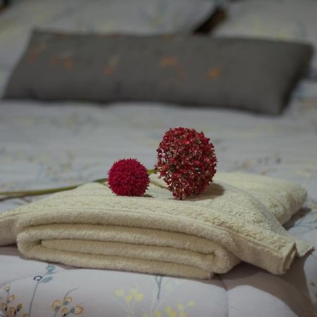 Akrolimnion Hotel Ioannina Luaran gambar