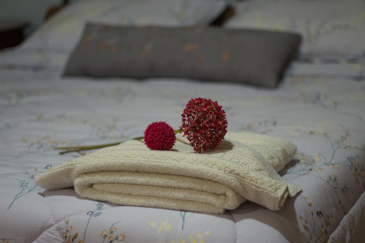 Akrolimnion Hotel Ioannina Luaran gambar